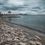 mimico